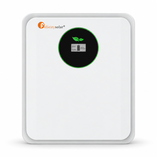 Felicity Solar FLA24100 24V 100Ah Lithium Battery
