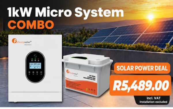 1kW Micro System Combo – 1.28kWh Lithium Battery & 1kW Off-Grid Inverter